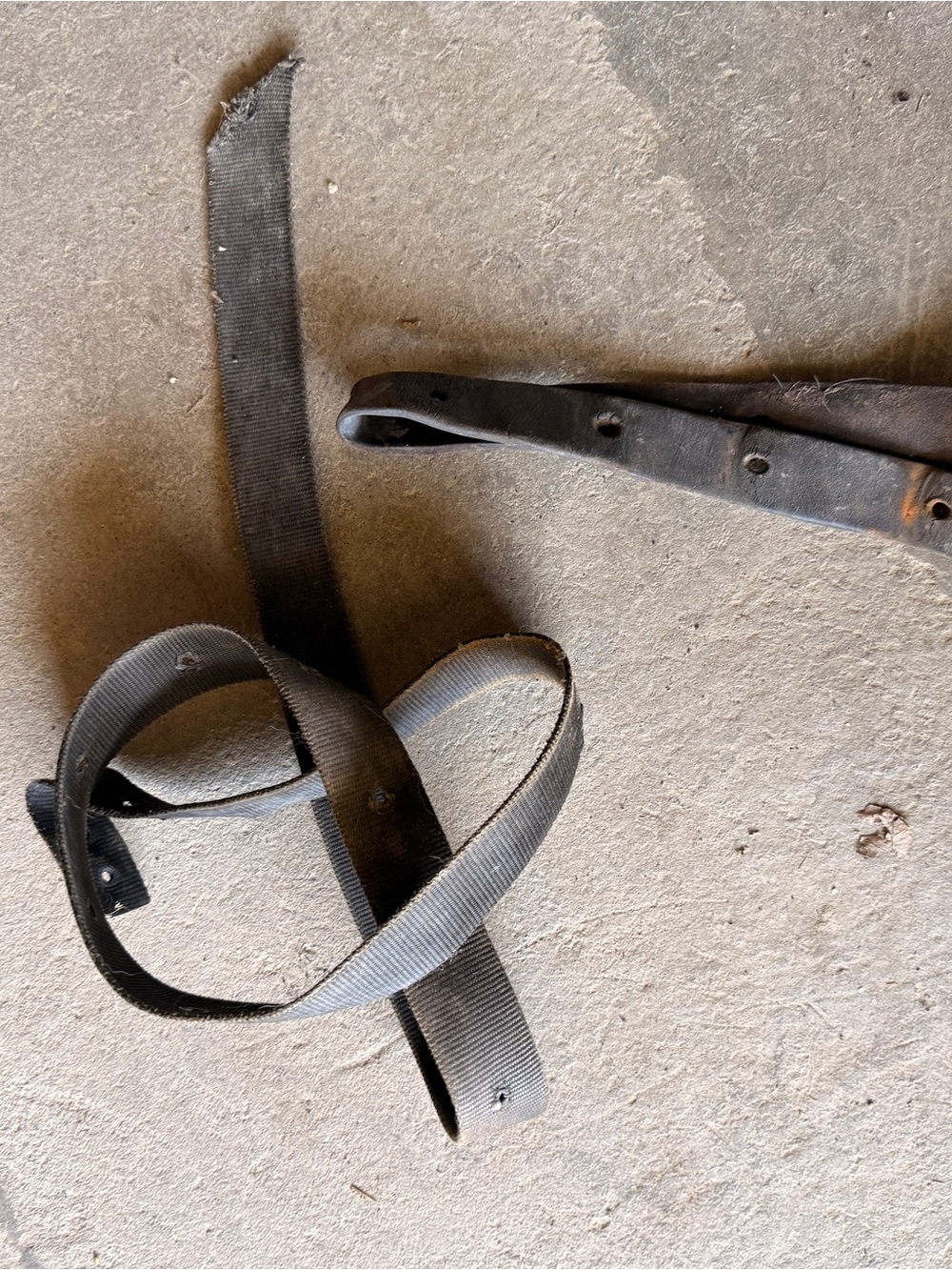 Horse Latigo Strap and Off Billet